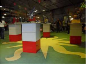 Aspecto de Safran en 2011