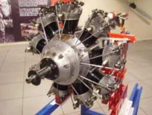 Salmson