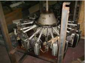 Radial Salmson
